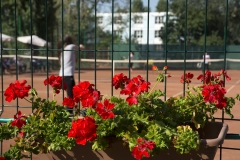 Cursuri de tenis Scoli Gradinite After-school Before-school Cursuri de tenis Scoli Gradinite After-school Before-school